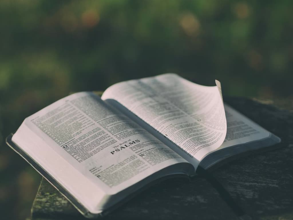 An open Bible resting outdoors.